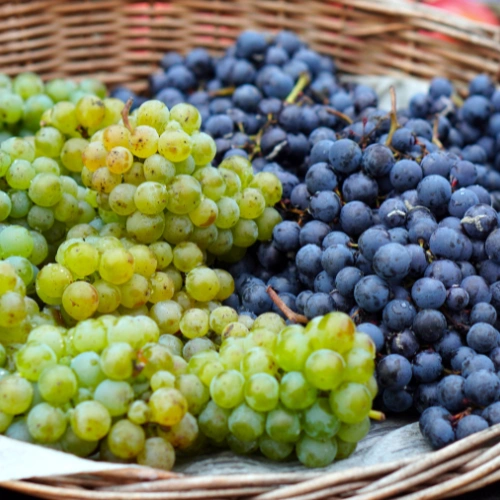 Grapes
